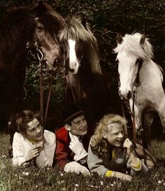 four people are sitting in the grass with two horses