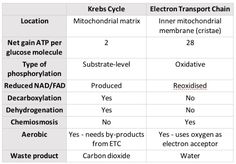 two tables with different types of water and carbons in them, one is labeled