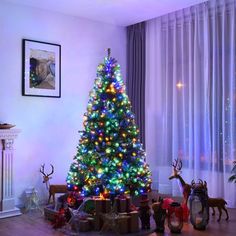 a brightly lit christmas tree in a living room