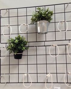 two potted plants are hanging on a wire rack with white cords attached to it