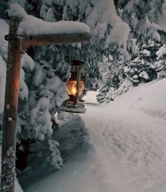 a lantern is lit in the middle of a snow covered path with pine trees behind it