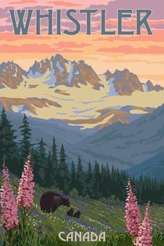 a poster with mountains in the background and trees on the other side that reads, crazy mountains