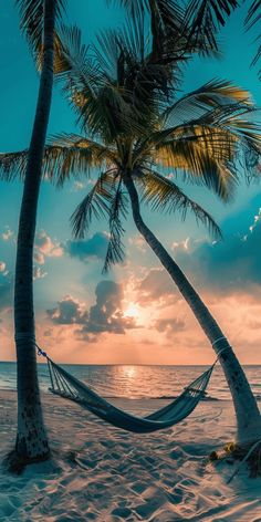 a hammock hanging between two palm trees on the beach at sunset or sunrise