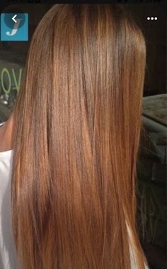 Bold Brown Hair, Ginger Hair Color, Hair Color Auburn, Strawberry Blonde Hair, Brown Hair Balayage, Hair Shades, Brown Blonde Hair, Ombre Hair Color, Long Straight Hair