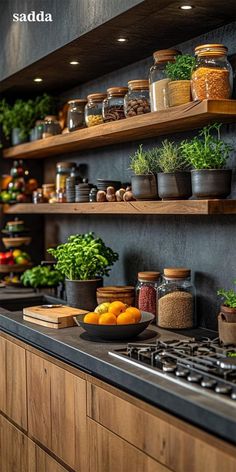 the kitchen is stocked with many different types of herbs and spices, including oranges