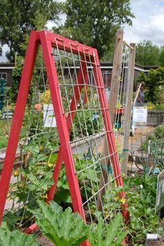 a red trellis in the middle of a garden with lots of plants growing on it