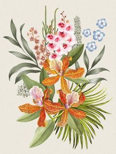 an illustration of flowers and leaves on a white background