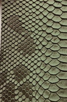 an image of a green snake skin pattern