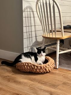 a black and white cat laying in a basket on the floor next to a chair