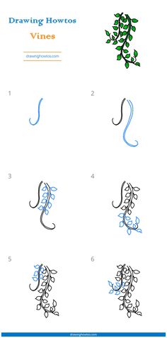 the drawing shows how to draw vines and leaves in different styles, with numbers on each side