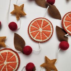 an orange slice is hanging on a string next to some other fruit slices and leaves