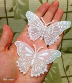 two white butterflies are sitting on someone's hand