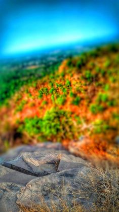 an artistic view of rocks and trees in the distance