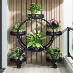 there are many potted plants on the shelf in this room, and one is upside down