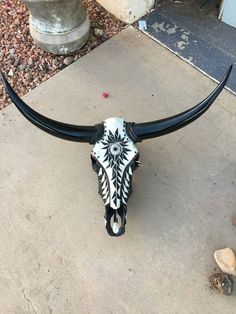 a bull's skull with large horns on the sidewalk