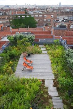 an aerial view of a rooftop garden with benches