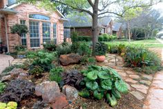 a garden with rocks and plants in front of a house