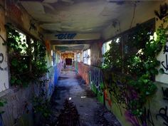 an abandoned building with graffiti on the walls and plants growing out of it's windows