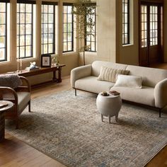 a living room filled with furniture and windows next to a rug on top of a hard wood floor