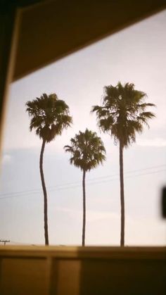 three palm trees are seen through a window