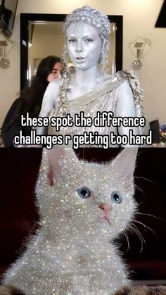 a white cat sitting in front of a mirror with the caption, these spot the differences