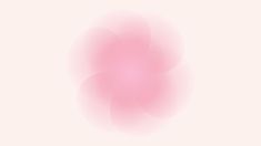 a blurry pink flower on a white background