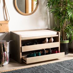 there is a shoe rack with shoes on it next to a potted plant and mirror