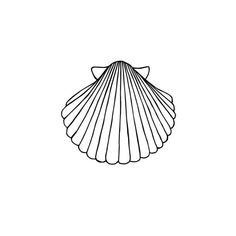 a black and white drawing of a scallop shell