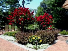 there is a small garden with red flowers in the center and yellow flowers on the other side