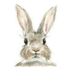 a watercolor painting of a rabbit's face