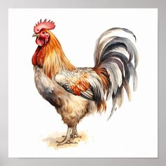 a painting of a rooster on a white background