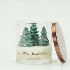 a candle that is sitting in front of a white background with the words winter woolwood on it