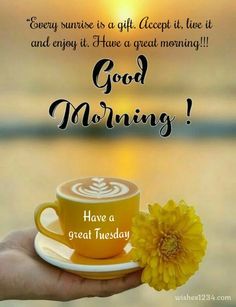 someone holding a coffee cup with a yellow flower in it and the words good morning have a great friday