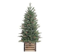 a small christmas tree in a wooden crate