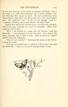 an open book with drawings of butterflies on it's pages and the title page