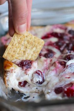 a cracker being dipped into a cranberry cheese dip