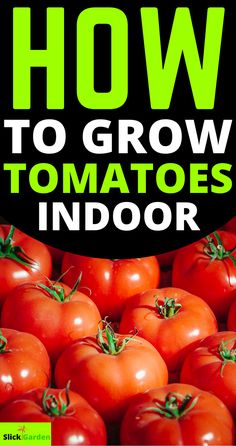 tomatoes with the words how to grow tomatoes indoors on top of them in front of a black background