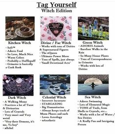 Witchy Academia, Which Witch, Green Witchcraft, Tag Yourself, Dark Witch, Wiccan Witch, Eclectic Witch, Witch Spell Book, Witchcraft For Beginners