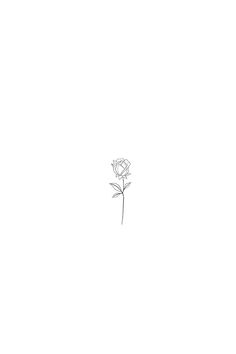 a drawing of a single rose on a white background