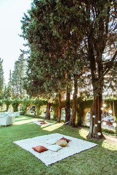 an outdoor area with grass, trees and pillows