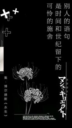 an advertisement with chinese writing and flowers in the foreground, on a black background