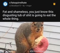 a squirrel eating a donut on top of a table