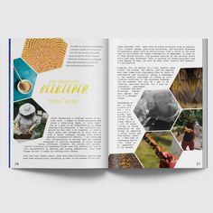 an open book with images of bees and honeycombs on it, showing the inside pages