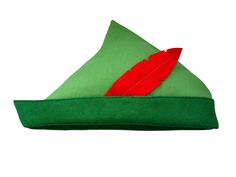 a green pillow with a red feather sitting on it's side and a white background