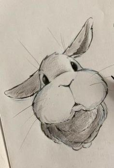 a pencil drawing of a rabbit's head on top of a piece of paper