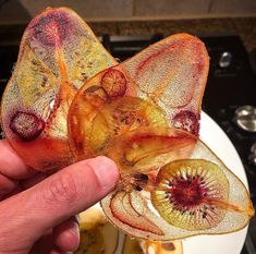 a person holding up a piece of art with flowers on it's wings and petals