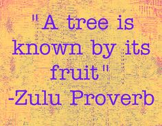 a quote from zulu proverb that reads,'a tree is known by its fruit '