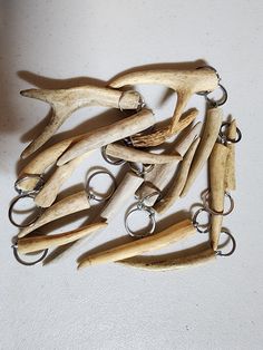 several deer antlers and key chains on a white surface