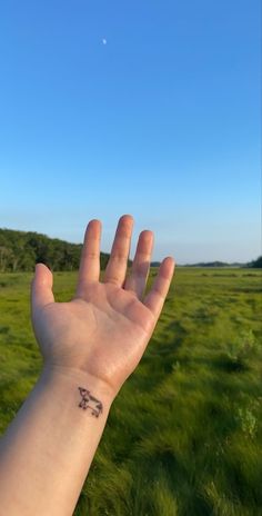 a person's hand with a small elephant tattoo on it, in the middle of a grassy field