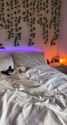 a dog laying on top of a bed next to a wall with ivy growing over it